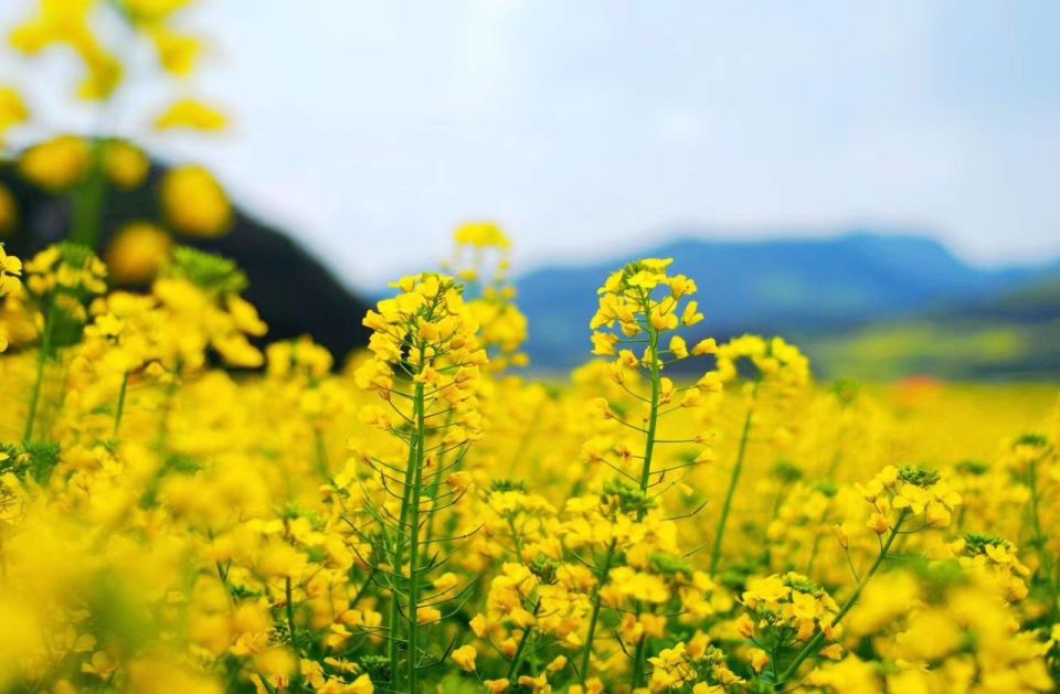 月日年还是日月年_那年有润月年_2020年3月