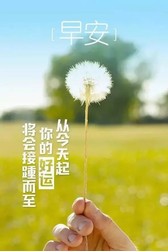 卷町操_卷町操_卷町操