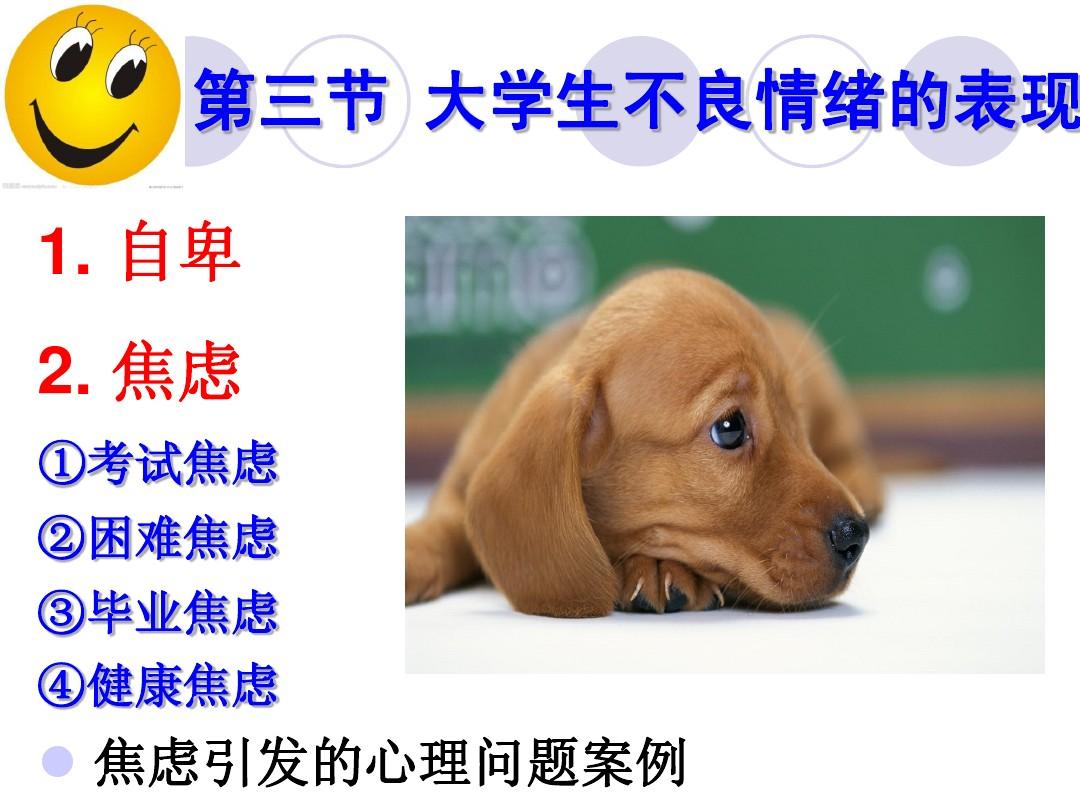 白凯安对话怎么过_白凯安手机里的游戏_白凯安攻略