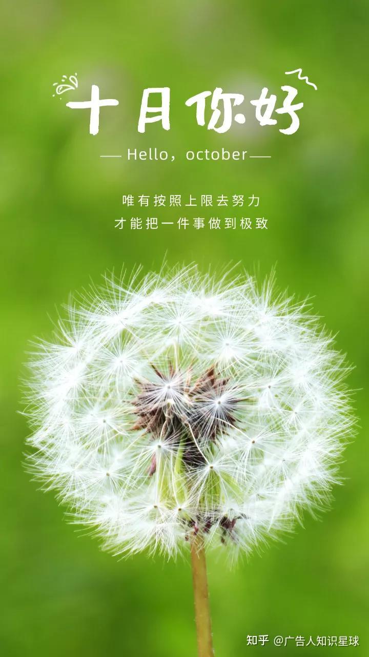 10月27日是什么日子_月日是啥意思_日和月是