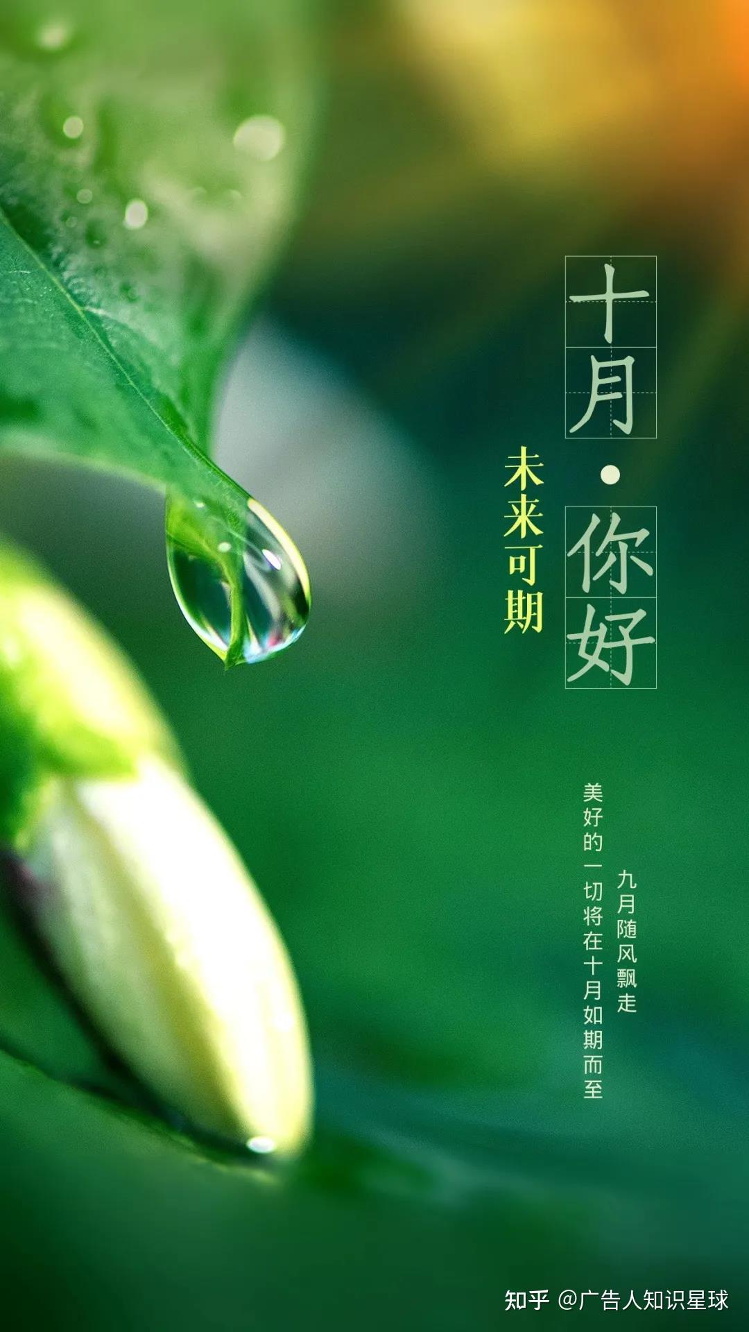 月日是啥意思_日和月是_10月27日是什么日子
