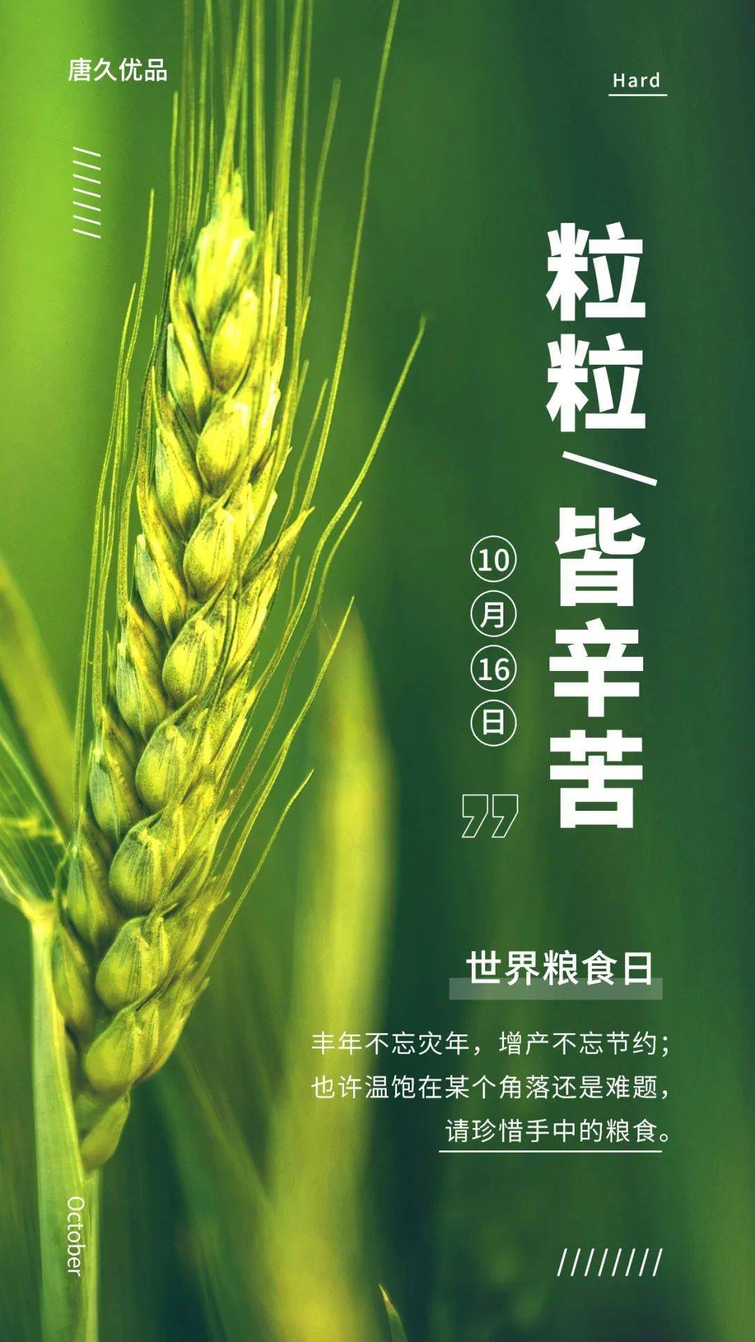 10月27日是什么日子_月日是啥意思_日和月是