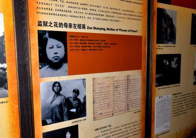 宇智波美琴是谁_宇智波美琴出场集数_宇智波美琴