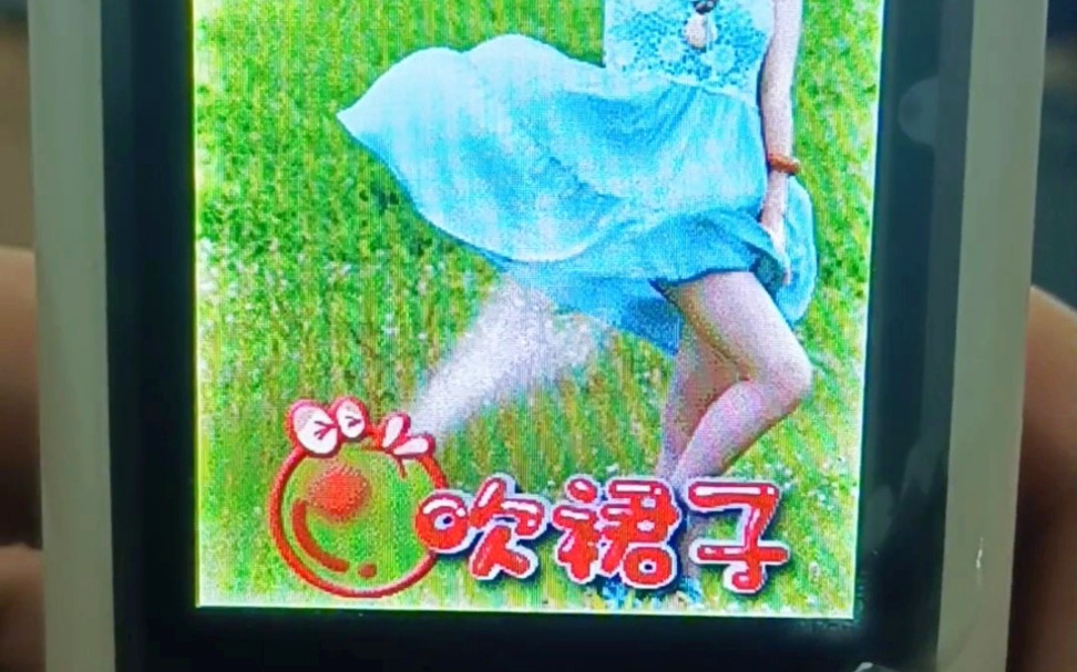 苹果版吹裙子游戏下载安装_苹果版暴力吹裙子游戏_吹裙子游戏手机版