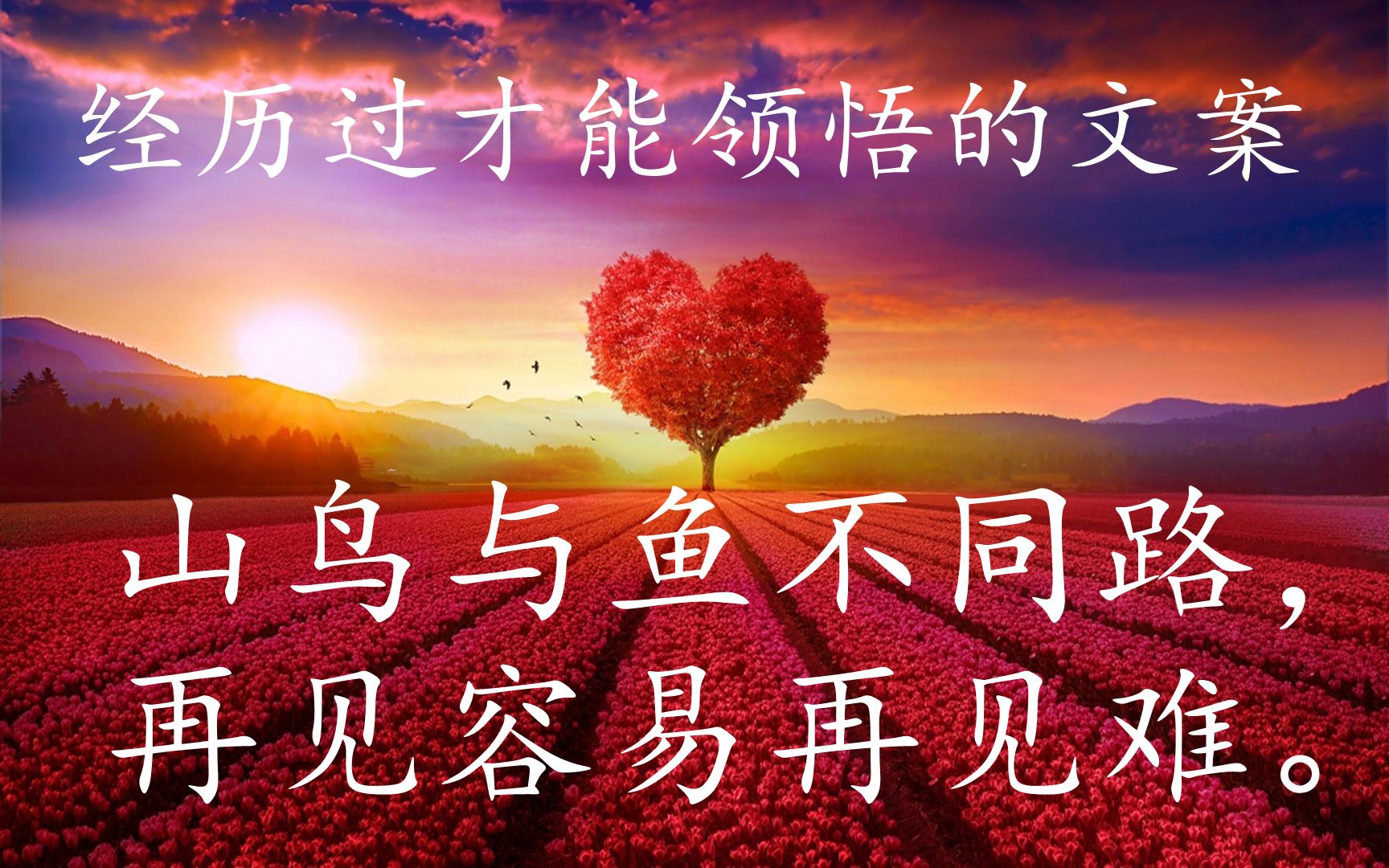 兹山鱼谱_兹山鱼谱_兹山鱼谱