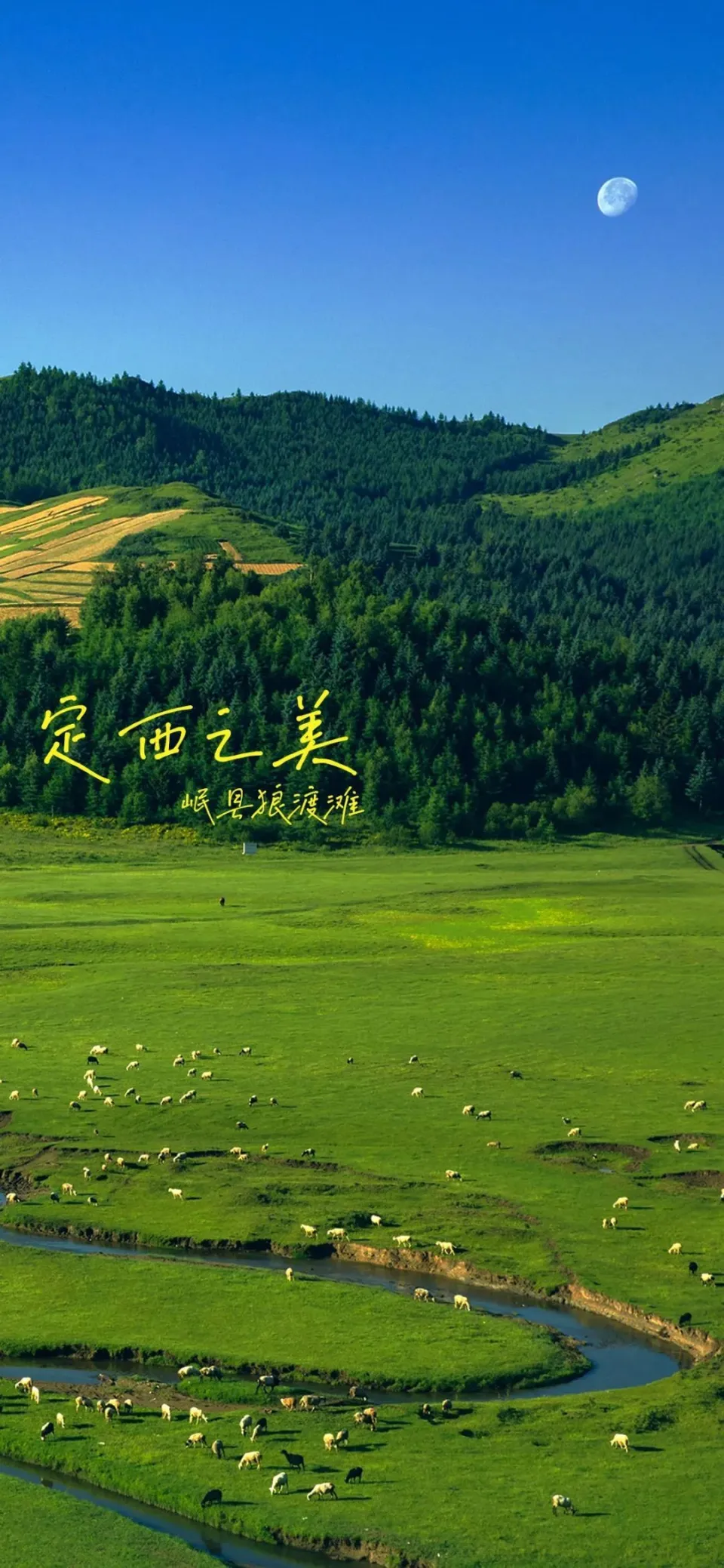杰达_杰达驾校_杰达