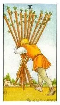 量天尺_量天尺适合家里养吗_量天尺的养殖方法和注意事项