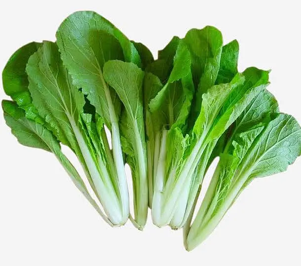 白菜游戏解说王者_大白菜解说游戏_白菜游戏解说手机