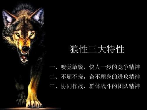 团队手游小游戏_团队的手机游戏_多人团队手机游戏