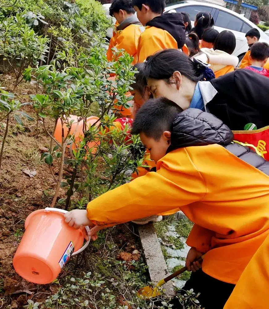 植树活动的标题_植树节活动小标题_植树活动标题