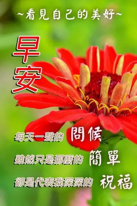 二条院羽月结局_二条院羽月_二条院羽月写的情书