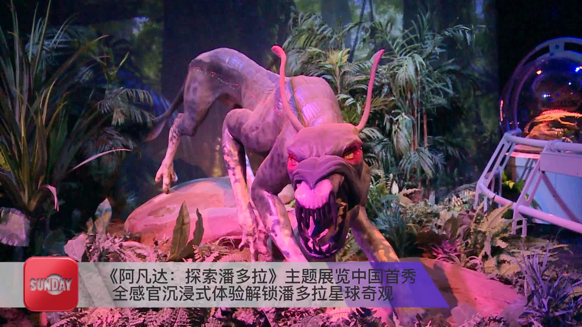 阿凡达手游下载_阿凡达手机游戏养成_阿凡达游戏手机版