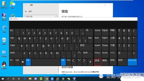 打字出字母的输入法_键盘只出字母不出汉字怎么办_键盘打字字母