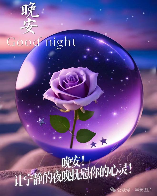 手机游戏socket连接_手机游戏soul_soft手机游戏