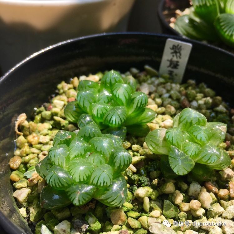 控制中心怎么设置_中心控制模式_中心控制室的作用