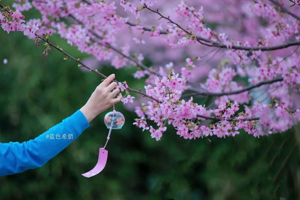 古濑绘理_七濑理沙_古濑理惠