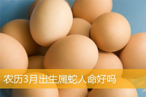 蛇属相出生_属蛇的是哪一年出生_蛇属相的出生年份