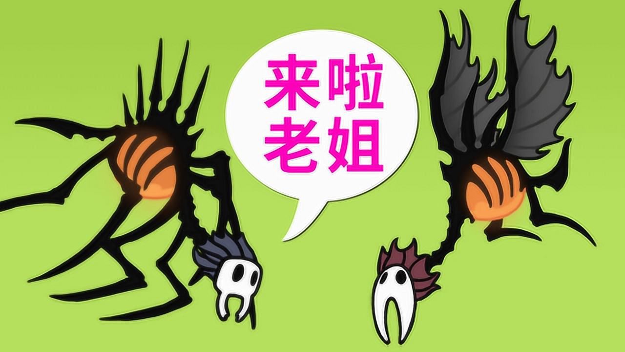 空洞骑士神居：一场情感洪流与灵魂触碰的冒险之旅
