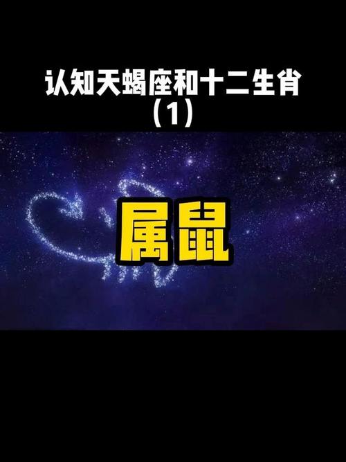 生肖属年龄_1972年属什么生肖_生肖属年龄对照表