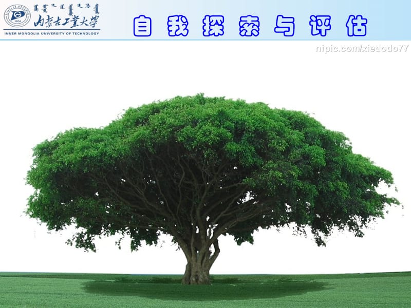变性手术游戏手机游戏_变性手术模拟器软件_做变性手术的游戏