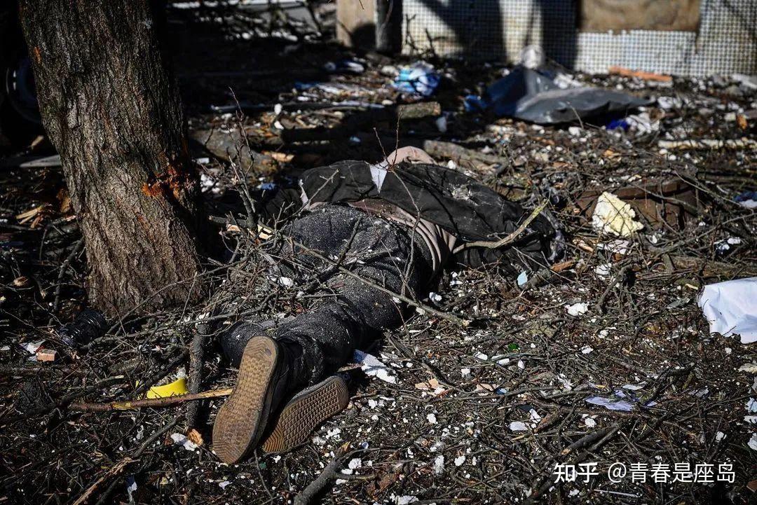 捕鼠夹_夹捕鼠器_捕鼠夹