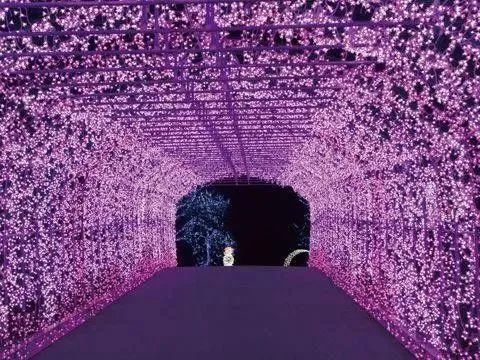 游戏飞车大全手机版_飞车游戏在线玩_飞车游戏大全手机游戏6