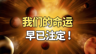 随机抽号_抽号码随机_抽号机在线抽号