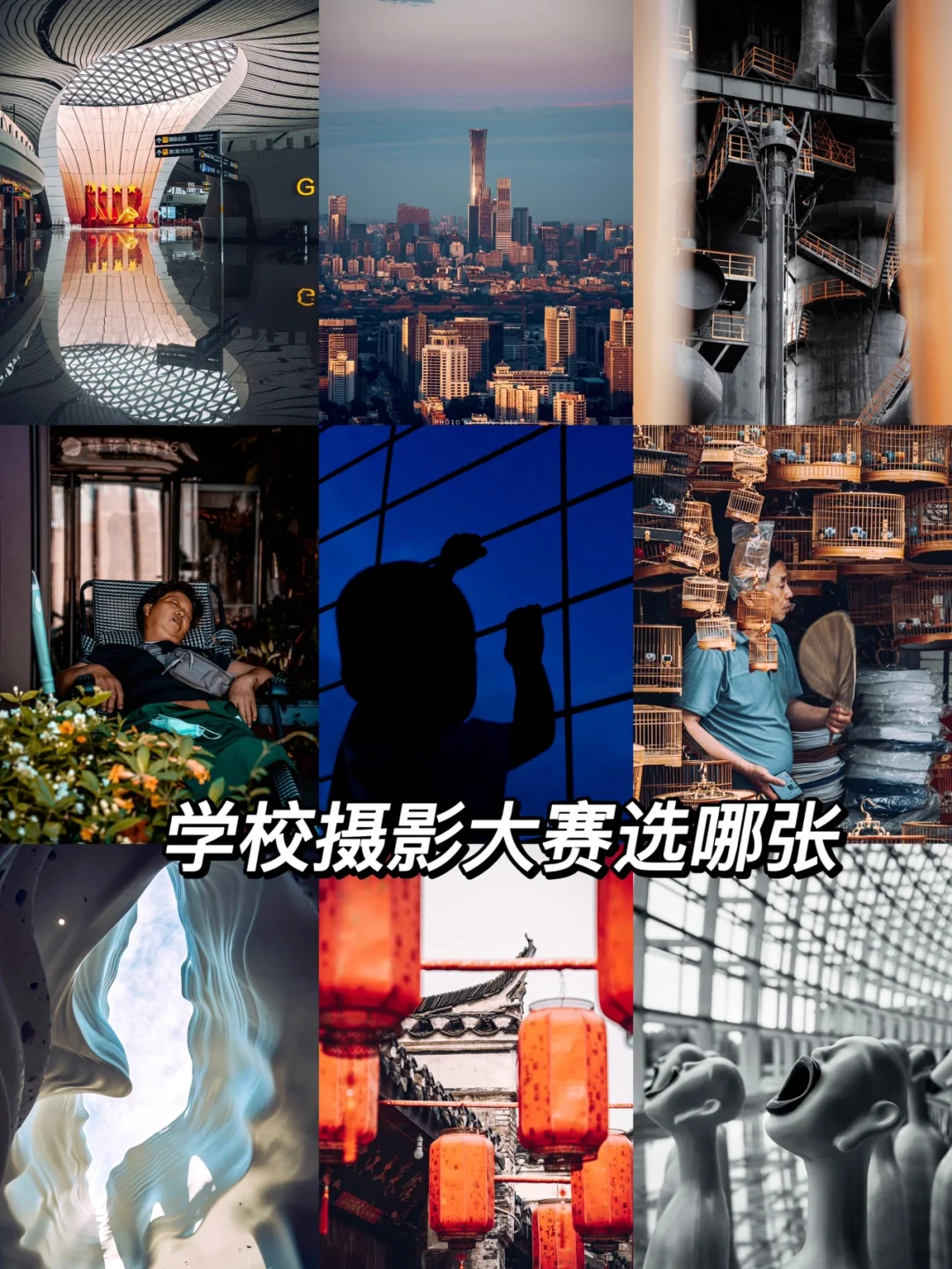 东莞手机拍摄_东莞拍照手机游戏_东莞的游戏