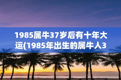 乙巳年出生的人是什么命_乙巳年是哪一年_乙巳年是几几年