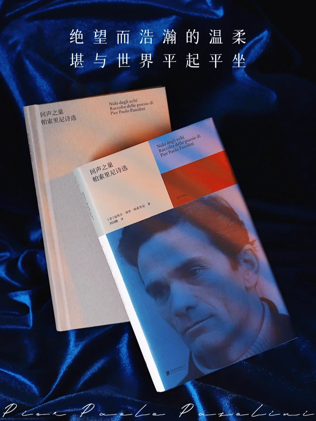雾岛路名_雾岛露明卡组_雾岛露明