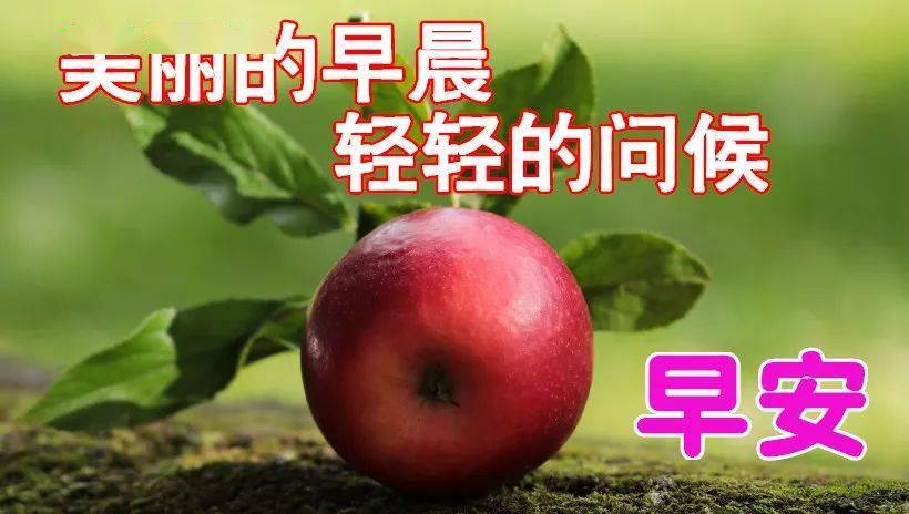 日子是啥_10月13日是什么日子_日月日子