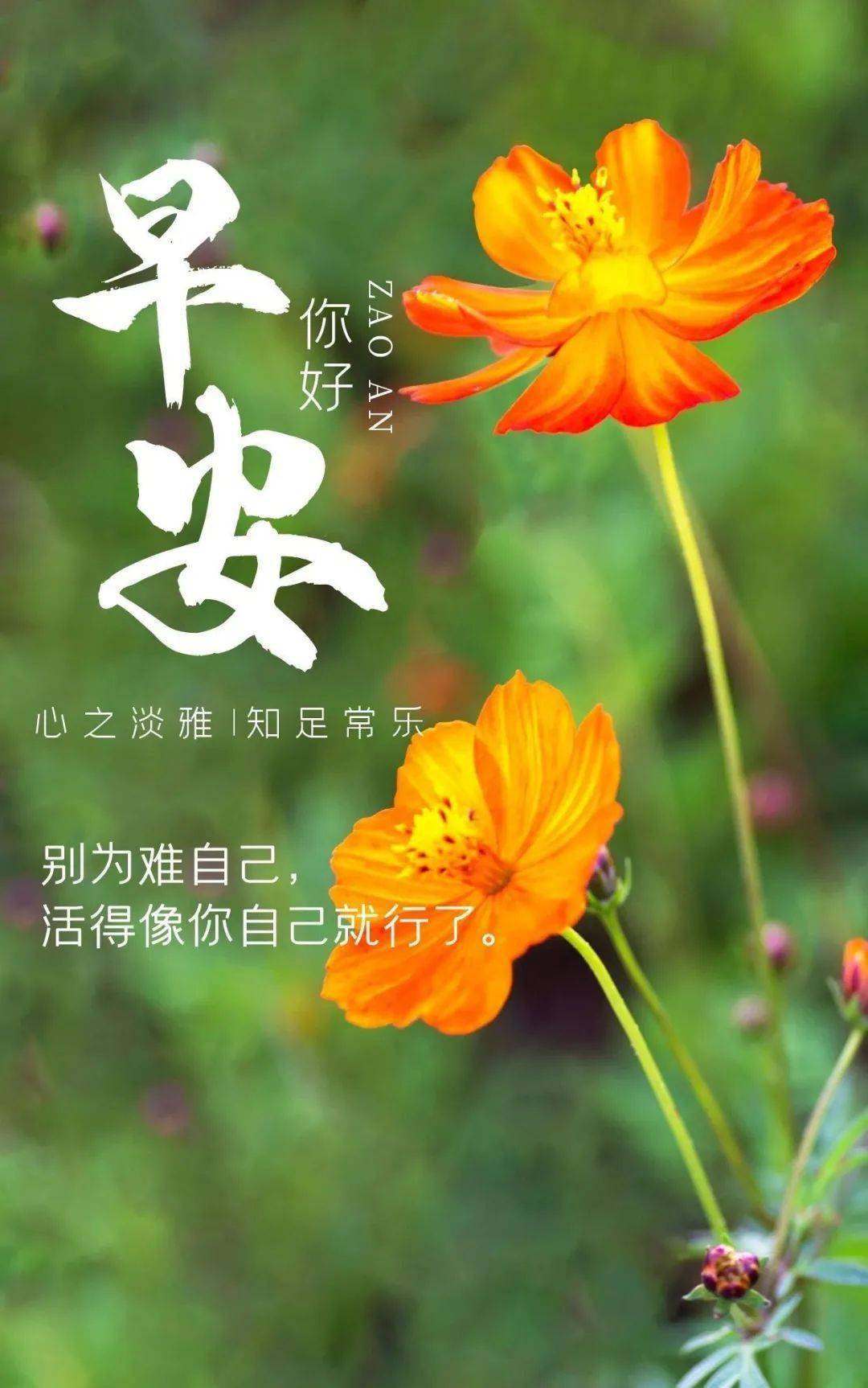 10月13日是什么日子_日子是啥_日月日子