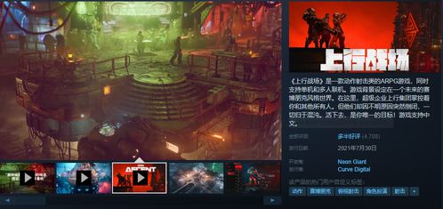 上行战场类型游戏,游戏类型概述