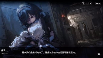 战双帕弥什项目背景,项目背景概述