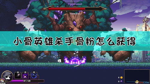 小骨英雄杀手如何重组,打造最强英雄组合