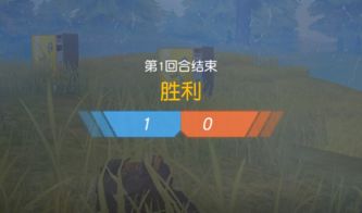 荒野竞技场,挑战极限，体验真实战场