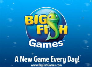 bigfish games,大鱼公司解谜游戏中文版下载