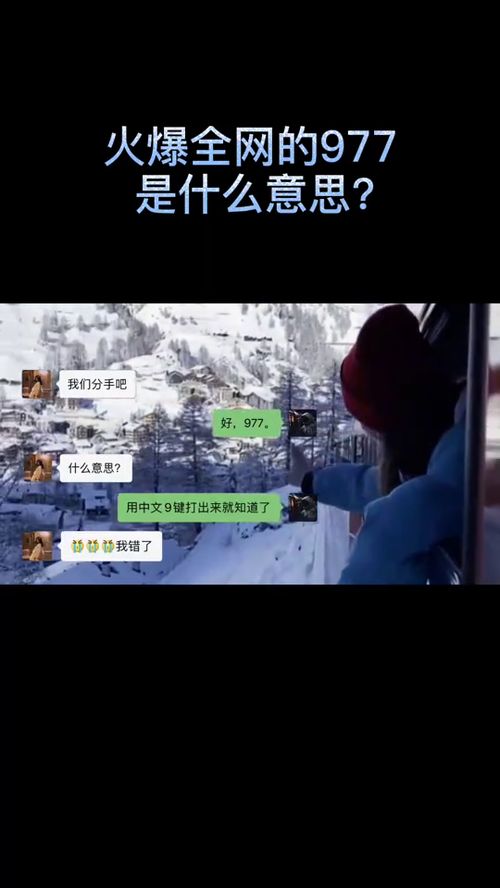 777影视新版本 