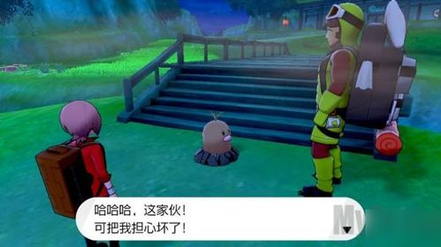 精灵宝可梦紫有多少个dlc,揭秘紫之秘境与未来篇章
