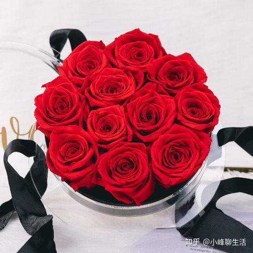情人节送女友什么礼物,情人节女友礼物精选指南
