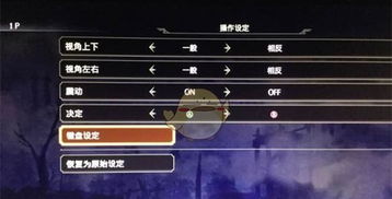 无双大蛇2怎么键盘手柄一起用,键盘与手柄双模操作攻略
