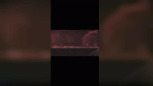 元气桌面手机版 