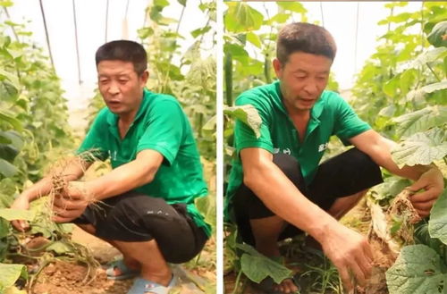两个人的游戏挑战 
