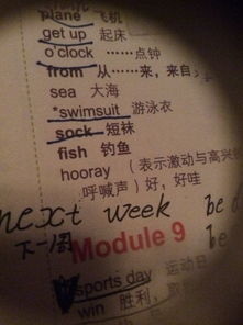 脆弱的英雄 