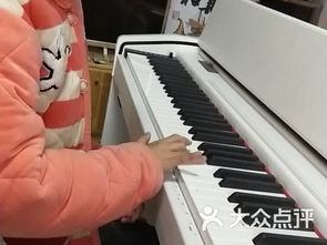 芝麻影视大全软件下载 