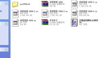 pes2009中文补丁,畅享足球盛宴