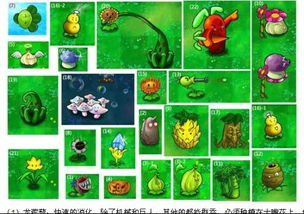 玩家自制《植物大战僵尸2》登场 原版模型泄露?,原版角色惊艳亮相