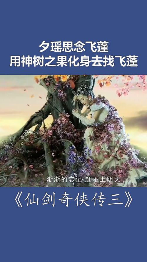 怀念传3,时光穿梭的青春记忆