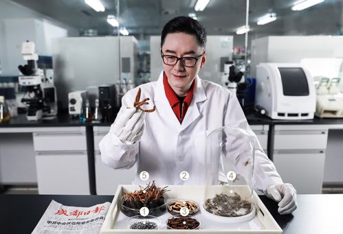 张雪峰贪玩游戏,揭秘网红背后的真实生活