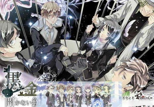 黑与金之钥匙游戏剧情,揭开神秘世界的奇幻之旅